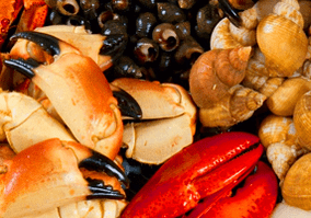 frutti di mare per aumentare la potenza negli uomini